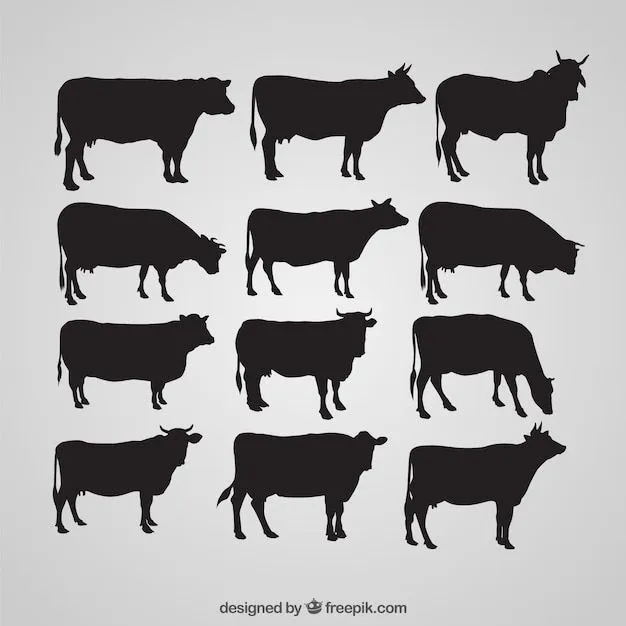 Vaca | Fotos y Vectores gratis