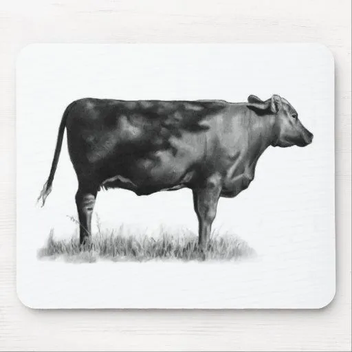 Vaca de ganado/novilla en lápiz: Realismo: Dibujo Tapete De Raton ...