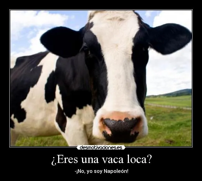 Eres una vaca loca? | Desmotivaciones Eres una vaca loca? | Desmotivaciones