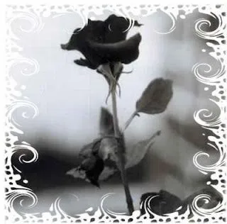 V.A.G.O.'s: Rosas negras..