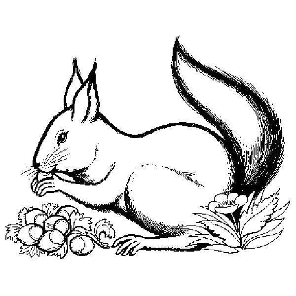 VALDEPLÁSTICA: febrero 2014