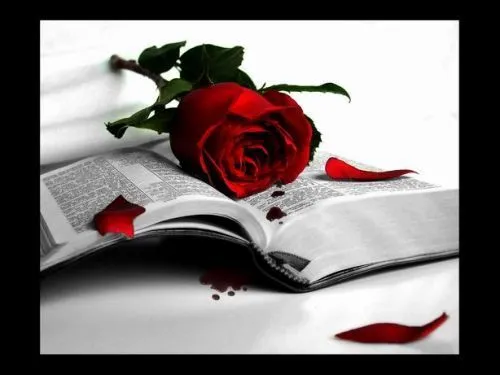 VALE DAS SOMBRAS: ROSAS GOTICAS