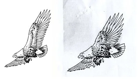 Dibujos para colorear de las águilas del América - Imagui Dibujos para colorear de las águilas del América - Imagui