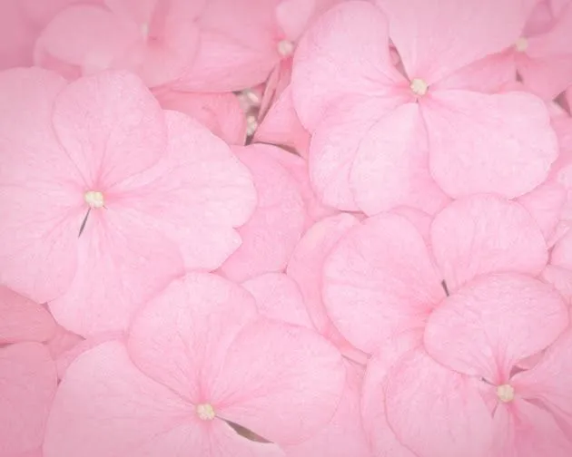 Valeria Escoto - Videos - Google+