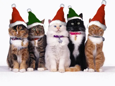 Valy1997: Feliz Navidad - Gifs Animados de Navidad y Fiestas Navideñas