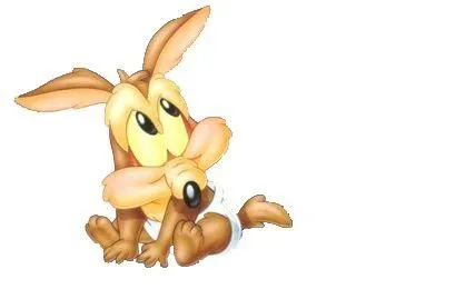 Coyote bebé - Imagui