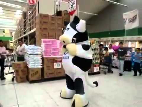 Vaquita Alpura ''Manchas'' Bailando En Aurrera YouTube - YouTube Vaquita Alpura ''Manchas'' Bailando En Aurrera YouTube - YouTube