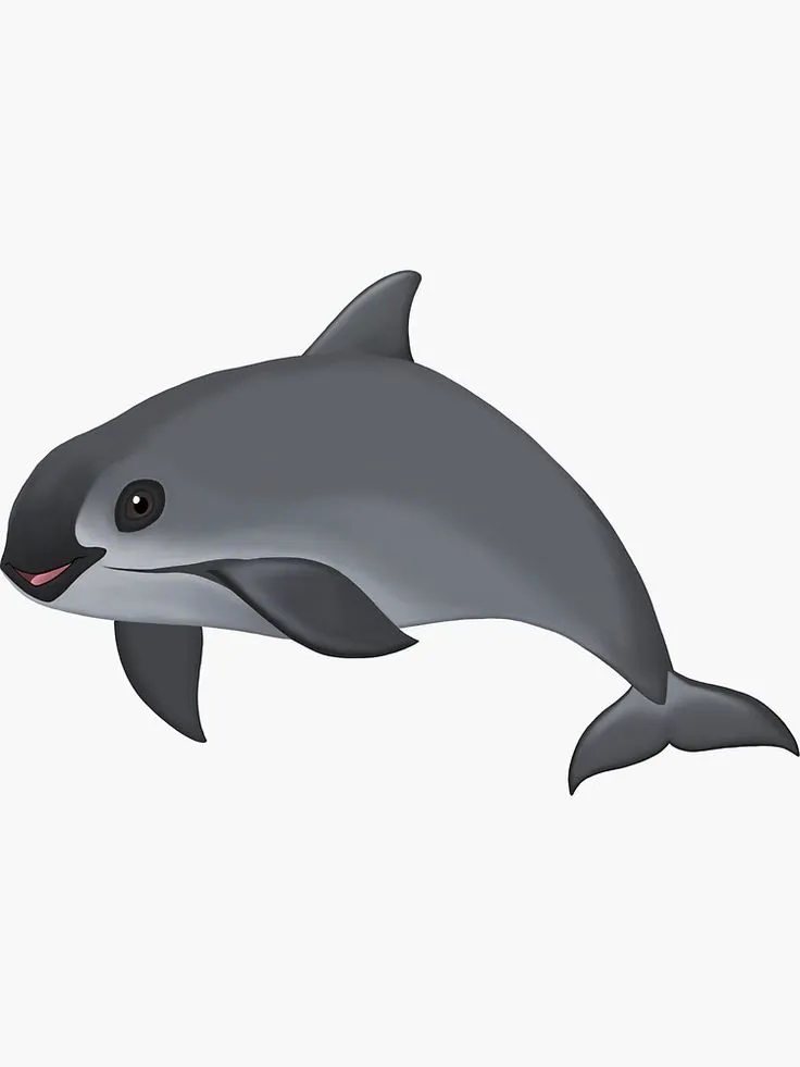 La Vaquita Marina" Sticker by porpoiseorg | Redbubble | Animal drawings,  Cool inventions, Kawaii