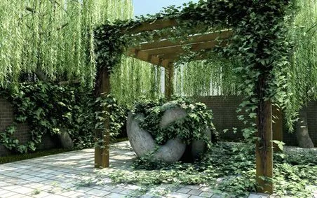 Variedad de enredaderas para espacios interiores y exteriores ... Variedad de enredaderas para espacios interiores y exteriores ...