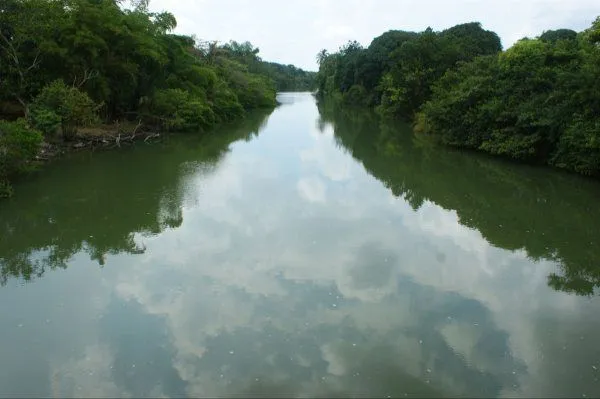 VaXtuxpan. Periodismo Virtual.: UV Y CETMAR QUIEREN UN MEDIO ... VaXtuxpan. Periodismo Virtual.: UV Y CETMAR QUIEREN UN MEDIO ...