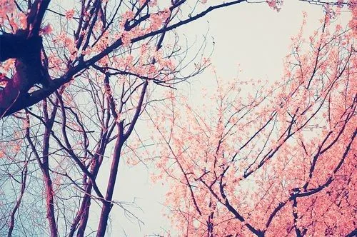 Ve, se feliz y sigue adelante.