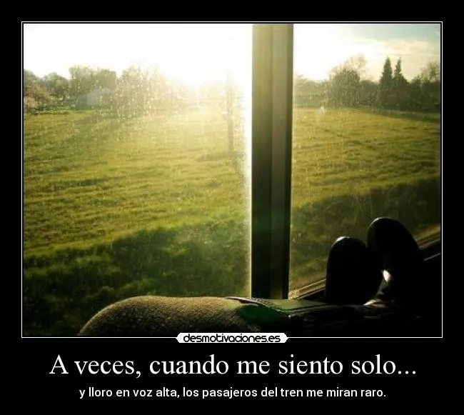 A veces, cuando me siento solo... | Desmotivaciones