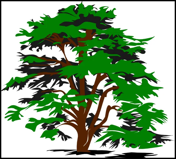 Arbol Fondo clip art - vector clip art online, royalty free ... Arbol Fondo clip art - vector clip art online, royalty free ...