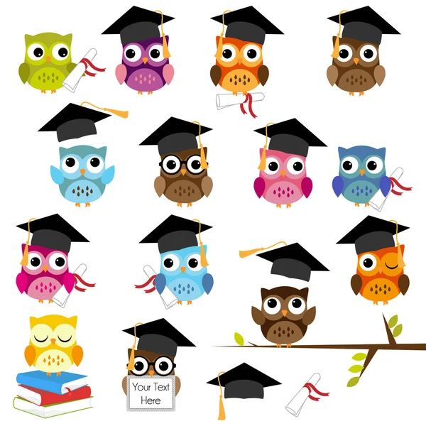 Vector conjunto de lindos buhos temática escuela y graduación ... Vector conjunto de lindos buhos temática escuela y graduación ...