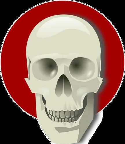 Vector de dibujo de cráneo humano sobre un círculo rojo | Vectores ...