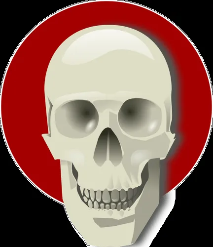 Vector de dibujo de cráneo humano sobre un círculo rojo | Vectores ... Vector de dibujo de cráneo humano sobre un círculo rojo | Vectores ...