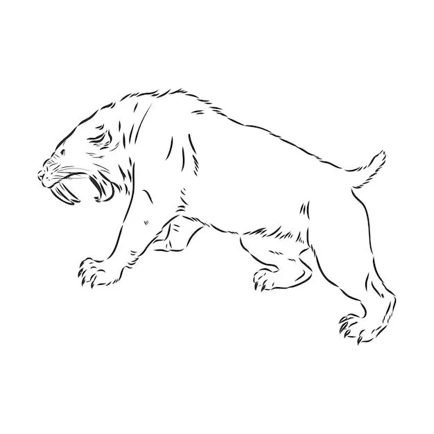 Vector de dibujo de tigre de sable enojado. bosquejo del vector del tigre dientes de sable | Vector Premium Vector de dibujo de tigre de sable enojado. bosquejo del vector del tigre dientes de sable | Vector Premium