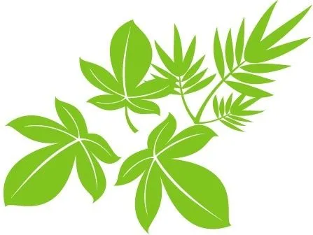 Vector de la planta - vectores gratis De búsqueda más populares