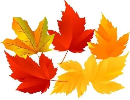Vector de la hoja del árbol Vector de la planta - vectores gratis ... Vector de la hoja del árbol Vector de la planta - vectores gratis ...
