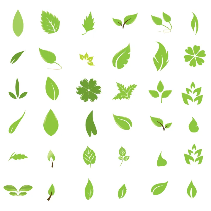 Vector pack: Hojas verdes | Diseño, ilustraciones vectoriales y ... Vector pack: Hojas verdes | Diseño, ilustraciones vectoriales y ...