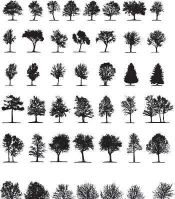  ... silhouettes ,Vectorial de siluetas de árboles ~ Diseño Grafico | web