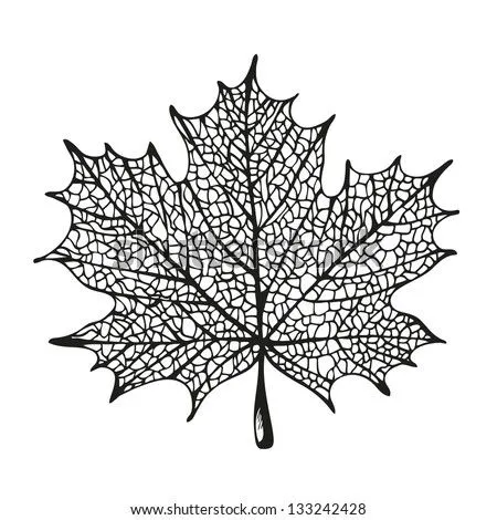Vector vintage maple leaf Free vector for free download about (15 ... Vector vintage maple leaf Free vector for free download about (15 ...