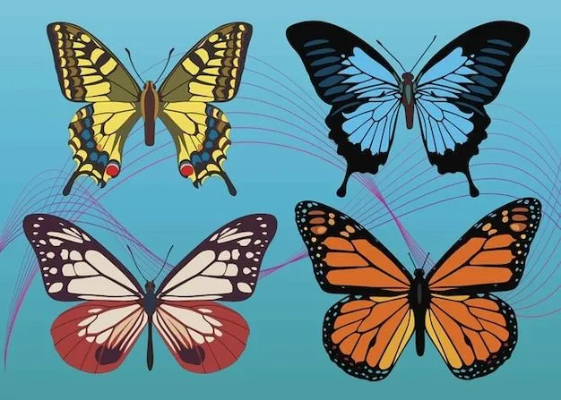 vectores de colores de la mariposa | Descargar Vectores gratis vectores de colores de la mariposa | Descargar Vectores gratis