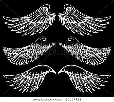 Vectores y fotos en stock de alas dibujadas a mano | Bigstock Vectores y fotos en stock de alas dibujadas a mano | Bigstock