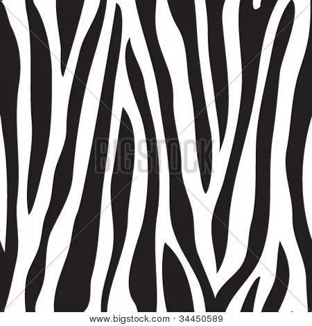 Vectores y fotos en stock de Animal print, cebra textura ... Vectores y fotos en stock de Animal print, cebra textura ...