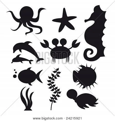 Vectores y fotos en stock de Animales marinos de silueta | Bigstock Vectores y fotos en stock de Animales marinos de silueta | Bigstock