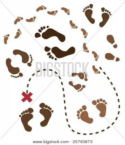 Vectores y fotos en stock de conjunto de huellas de diferentes ...