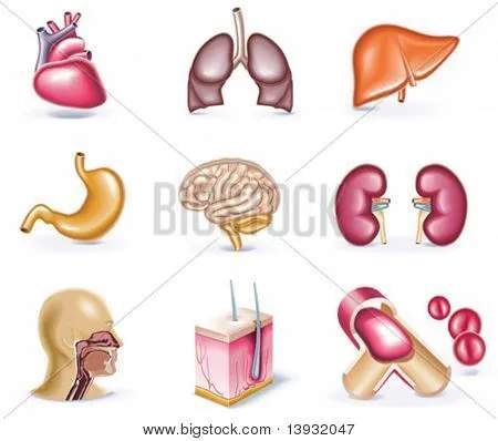 Vectores y fotos en stock de Conjunto de iconos de estilo de ... Vectores y fotos en stock de Conjunto de iconos de estilo de ...