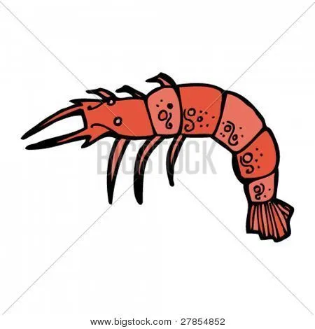 Vectores y fotos en stock de dibujos animados de langostinos ...