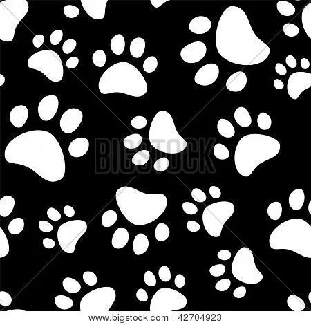 Vectores y fotos en stock de Huellas de un perro o gato inconsútil ... Vectores y fotos en stock de Huellas de un perro o gato inconsútil ...