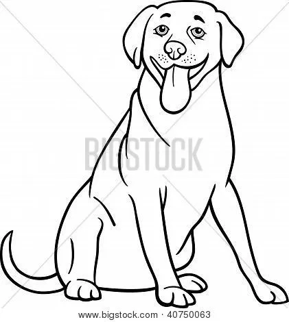Vectores y fotos en stock de Labrador Retriever perro de dibujos ... Vectores y fotos en stock de Labrador Retriever perro de dibujos ...