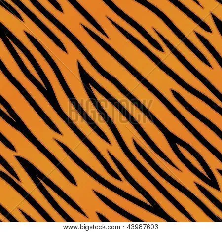 Vectores y fotos en stock de Patrón de rayas de tigre | Bigstock Vectores y fotos en stock de Patrón de rayas de tigre | Bigstock