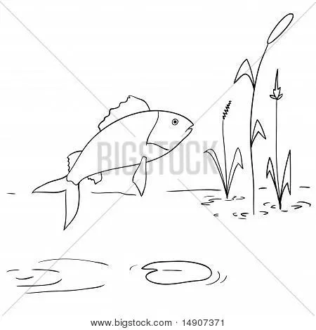 Vectores y fotos en stock de Río de dibujos animados peces ... Vectores y fotos en stock de Río de dibujos animados peces ...