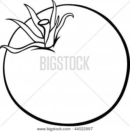 Vectores y fotos en stock de Tomate vegetal dibujos animados para ... Vectores y fotos en stock de Tomate vegetal dibujos animados para ...