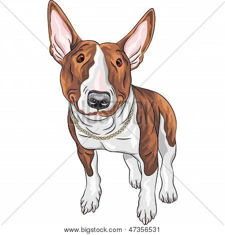 Vectores y fotos en stock de Vector sonriente raza de perro Bull ...