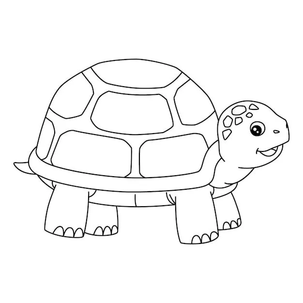 Vectores e ilustraciones de Tortuga colorear para descargar gratis | Freepik Vectores e ilustraciones de Tortuga colorear para descargar gratis | Freepik