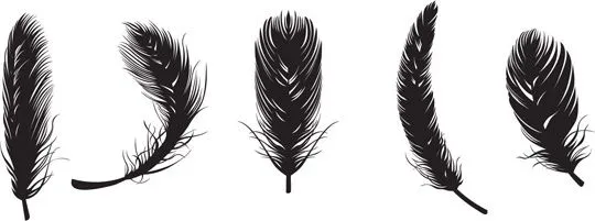 Vectores de plumas Vector misceláneos - vectores gratis para su ... Vectores de plumas Vector misceláneos - vectores gratis para su ...