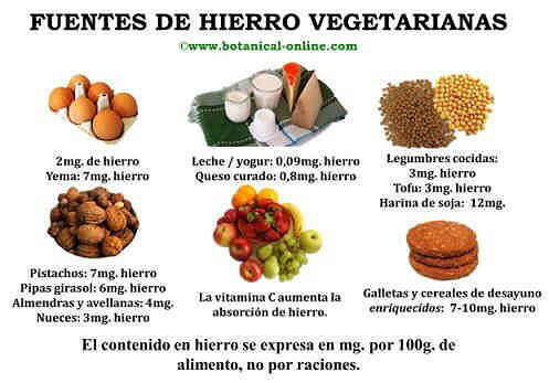 anemiafuenteshierro.jpg