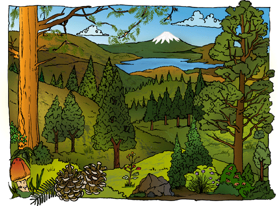 pequeños exploradores hacia un mundo de ciencia: agosto 2014