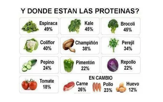 Ser vegetariano, ¿la clave para vivir más? | Todos Somos Uno Ser vegetariano, ¿la clave para vivir más? | Todos Somos Uno