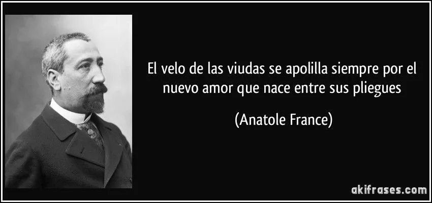 El velo de las viudas se apolilla siempre por el nuevo amor que... El velo de las viudas se apolilla siempre por el nuevo amor que...