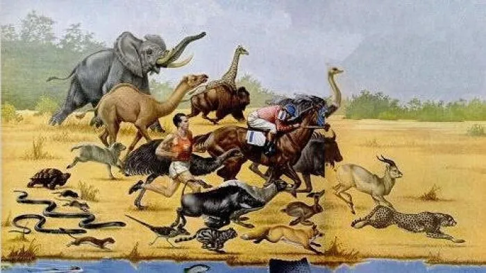 Velocidad Animal. - Taringa!