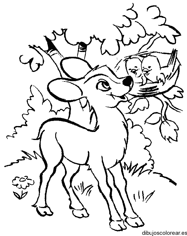 Venados para colorear Colouring Pages (page 3) Venados para colorear Colouring Pages (page 3)