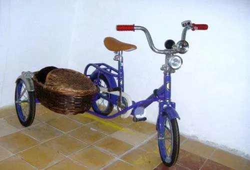 Vendo bicicleta antigua con sidecar - Soriano, Uruguay - Joyas ...