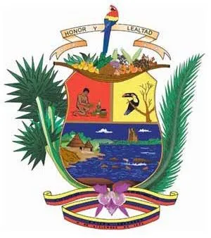 Venezolanidades de a pie: Bandera, Himno y Escudo del Estado Amazonas