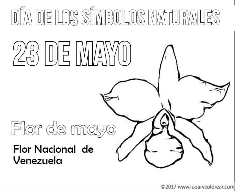 Venezuela 23 de Mayo, símbolos naturales - Jugar y Colorear Venezuela 23 de Mayo, símbolos naturales - Jugar y Colorear